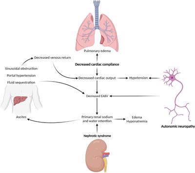 Supportive Care and Symptom Management for Patients With Immunoglobulin Light Chain (AL) Amyloidosis